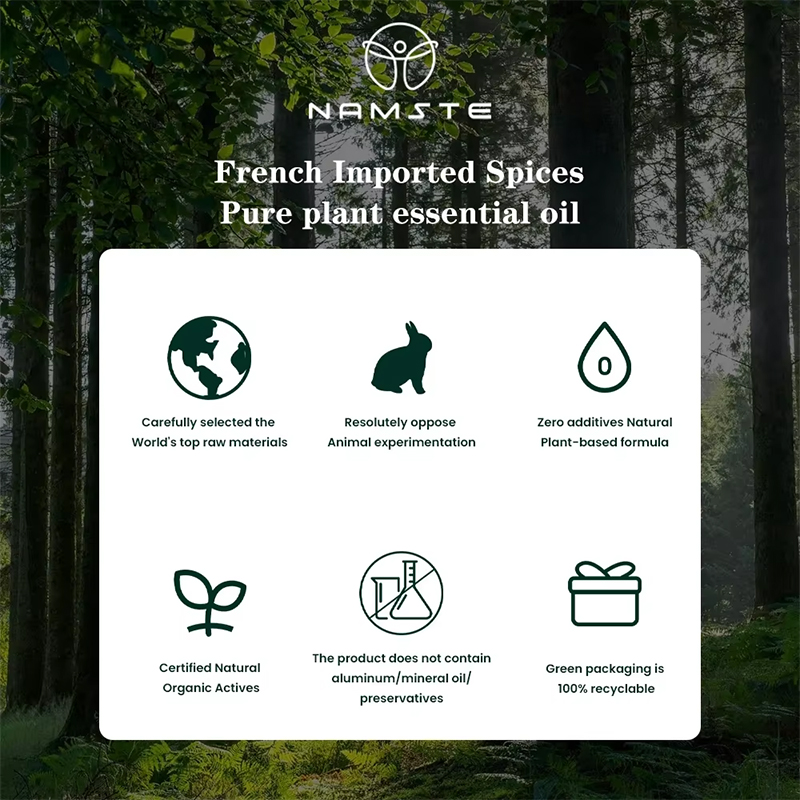NAMSTE 100ML Oil Diffuser Esse - đánh giá và giá Home Fragrance Diffuser Electric
